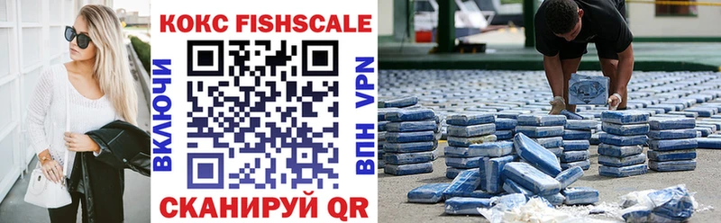 Купить где  Бирюсинск  COCAIN FishScale 
