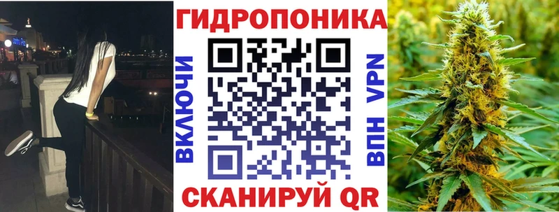 Купить закладки  Бирюсинск  Конопля тримм 